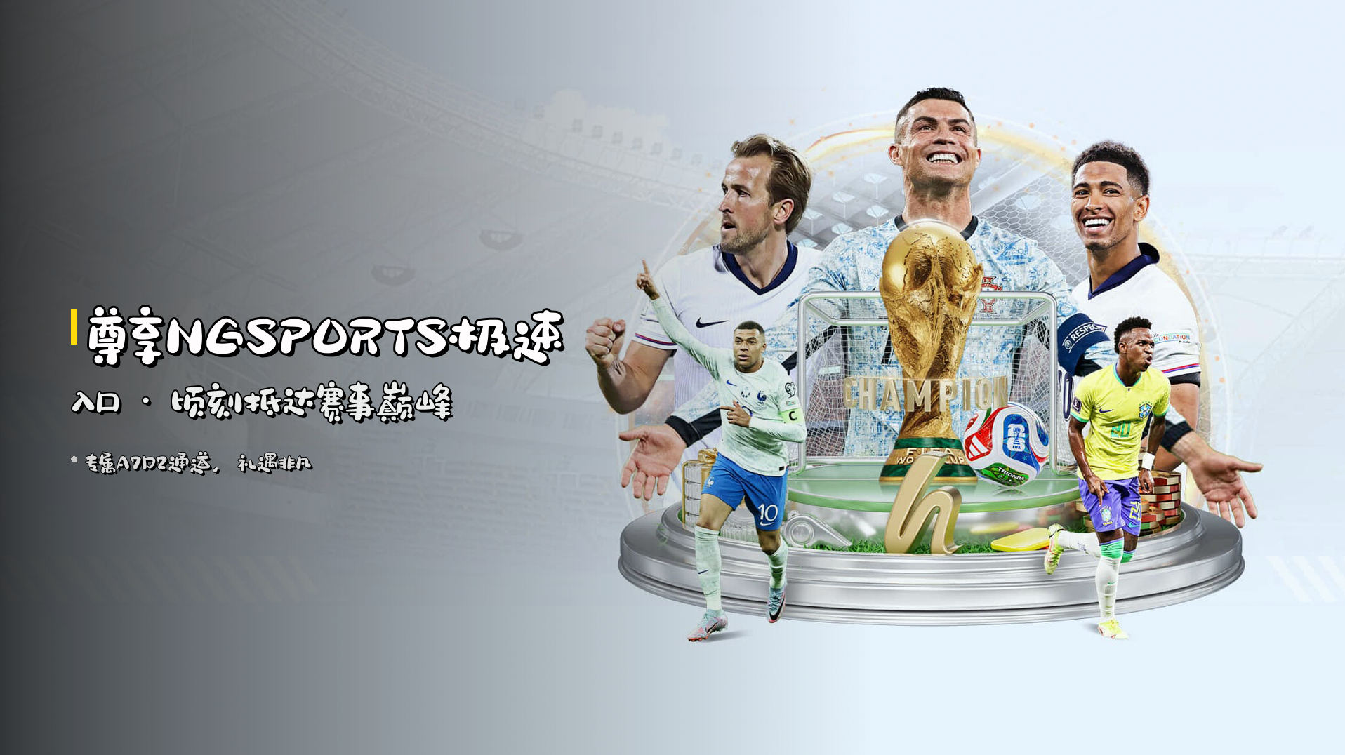 尊享<strong>NGSPORTS</strong>极速入口 · 顷刻抵达赛事巅峰